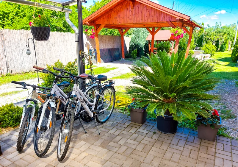 Two free bicycles in front of the garden gazebo